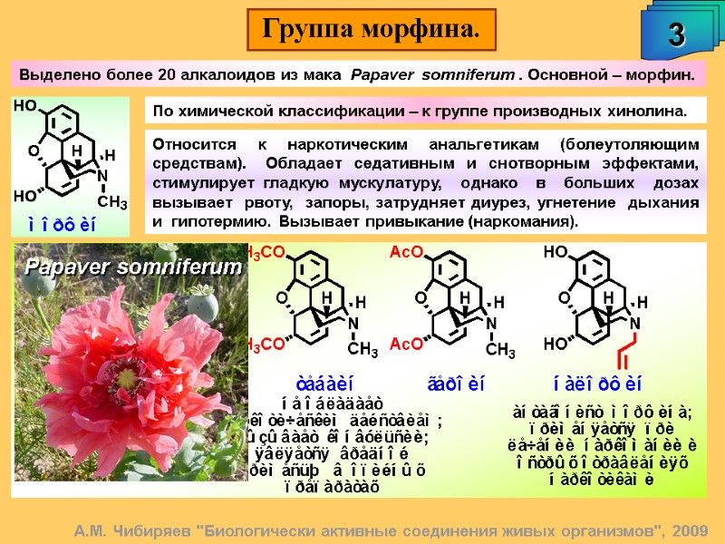 Группа морфина. 3 А.М. Чибиряев 